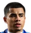 https://img.jch35.com/img/football/player/bd7833ad28a23f00751787d125266400.png